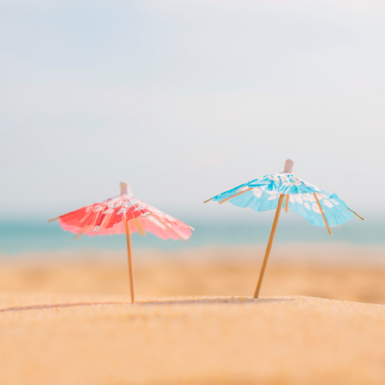 Rector's letter for July 2025