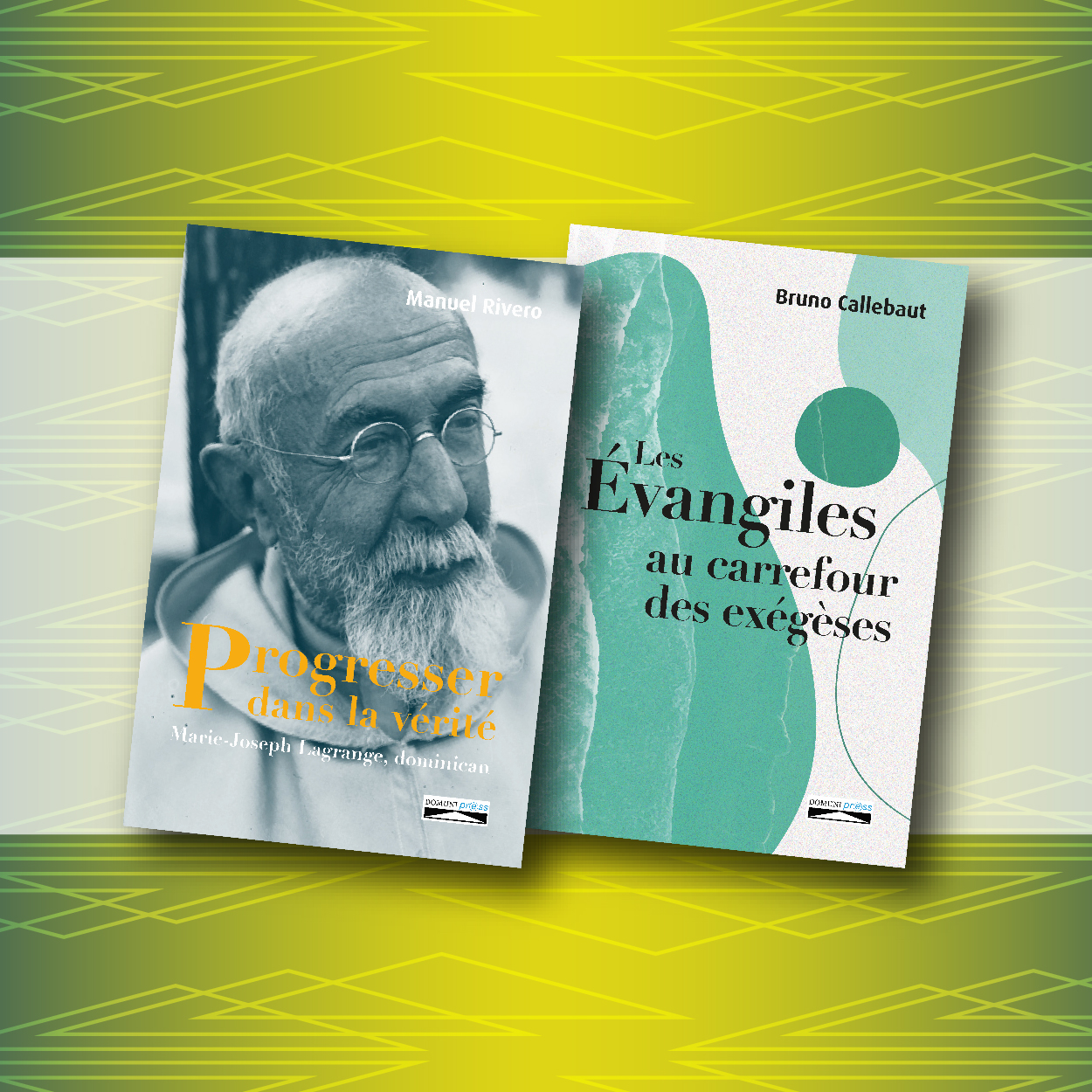 Latest Publications from Domuni-Press