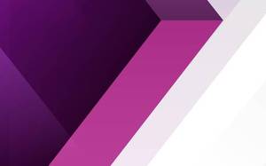 Appointments and Academic Life